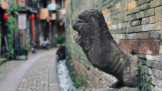 Taining Ancient Town + Ming-Qing Architectural Garden + Shangshu Mansion + Zhaixia Valley 1-day tour with English service in Sanming, Fujian