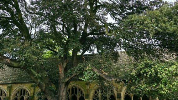 Oxford Harry Potter Film Locations Walking Tour