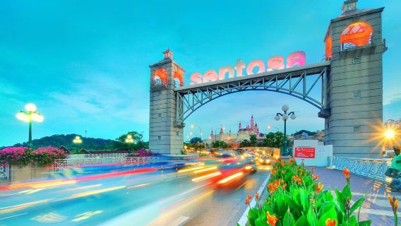 Transfer from Sentosa hotel to downtown Singapore hotel + flexible itinerary with private chartered tour