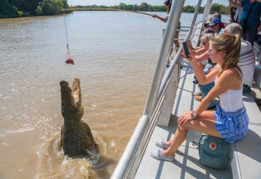 Darwin round-trip Kakadu National Park + crocodile cruise 1-day tour [city transfers | lunch included] AUD 393.35