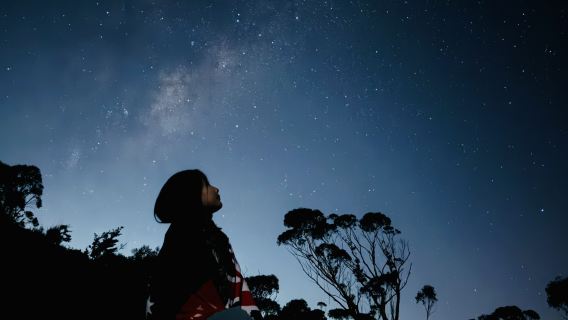 호주 시드니: 블루마운틴 선셋 별보기&페더데일 동물원 1일 투어