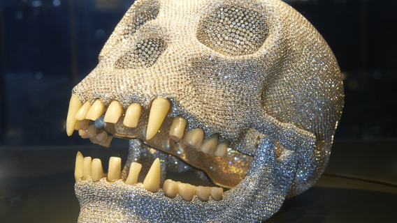 Van Gogh Museum + Rembrandtplein + Diamond Museum + TI Holland