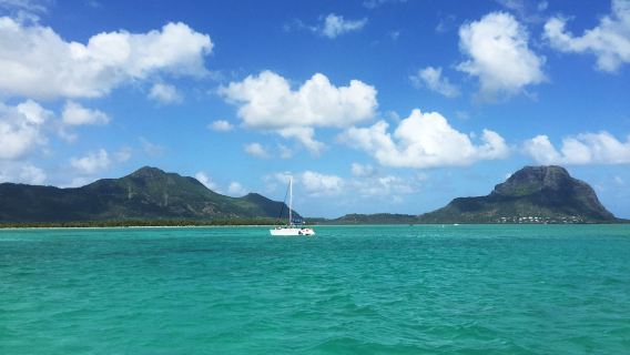 Excursión de un día con servicio de coche privado con conductor al Jardín Botánico de Pamplemousses y Port Louis Waterfront by Landscope Mauritius en el noroeste de Mauricio