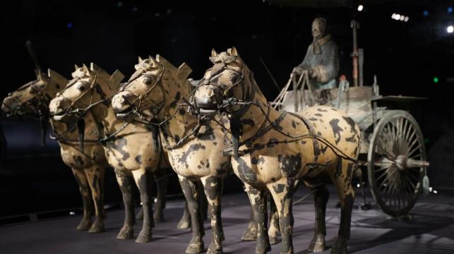 秦始皇帝陵博物院（兵馬俑）+秦始皇帝陵博物院-麗山園親子研學6小時深度講解團贈送研學活動