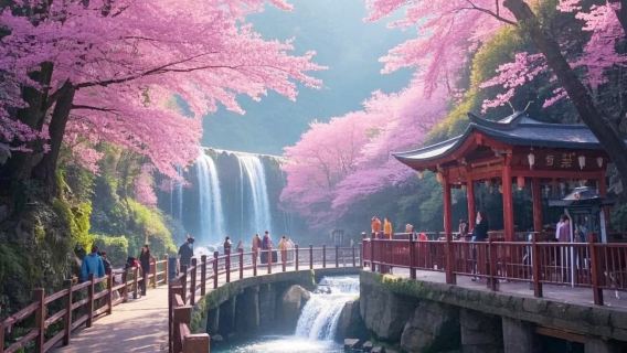 私家團上門接送+韶關新豐櫻花峪+東華寺祈福賞櫻花1日遊