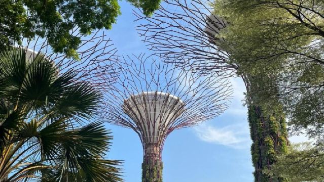 Sewaan peribadi 1 hari di Singapura dengan pemandu berbahasa Cina, perjalanan peribadi tersuai, boleh mengatur lawatan ke semua tarikan di seluruh negara