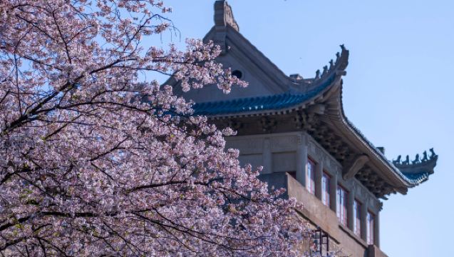 Wuhan, China: Self-Guided Tour with Private Charter to Wuhan University + East Lake Cherry Blossom Garden + Yellow Crane Tower + Qingchuan Pavilion (Multilingual Service Available)