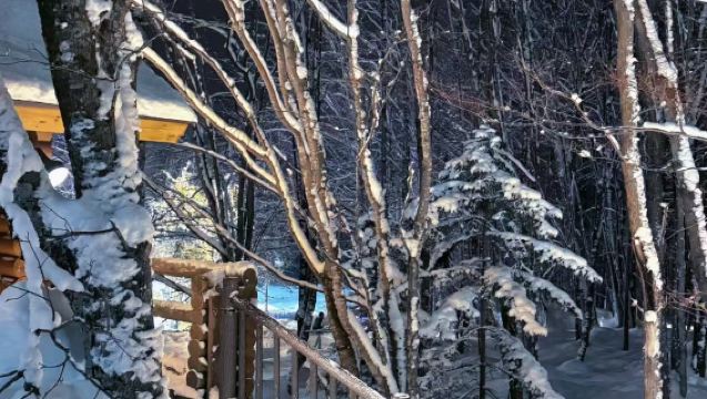 Lawatan sehari Furano - Bukit Shikisai - Air Terjun Shirahige - Ladang Tomita - Teres Makhluk Peri Furano