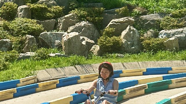 仁川趣味户外体验｜滑坡车 & 铁道自行车 & 海鸥渡轮一日游