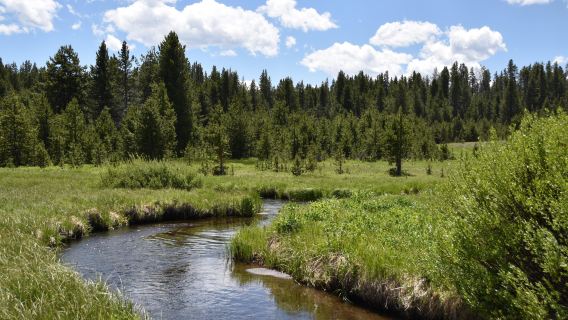 Salt Lake City, Amerika pergi-balik - Taman Grand Teton - Lawatan Mendalam Taman Negara Yellowstone | Sewaan Peribadi Khas Bahasa Cina