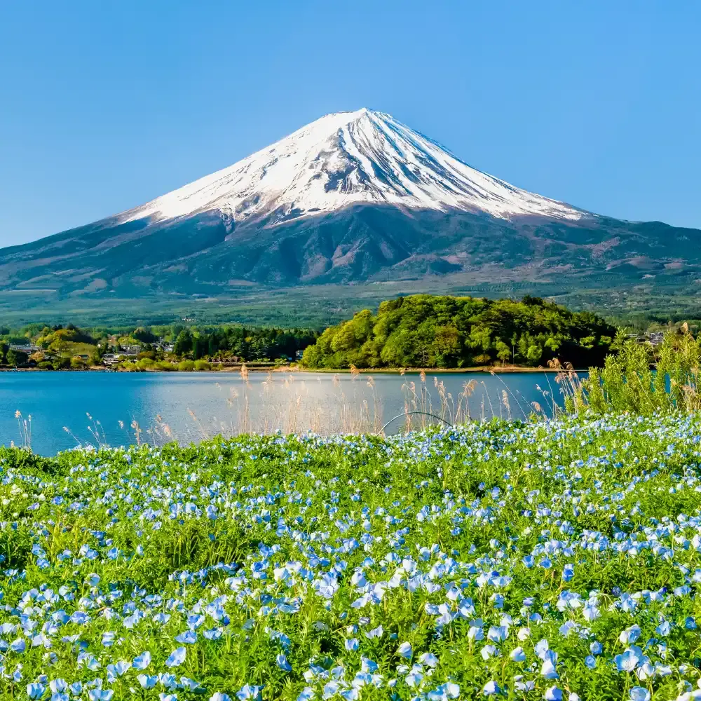 1-day tour from Kawaguchiko to Tokyo (one-way) to Mount Fuji