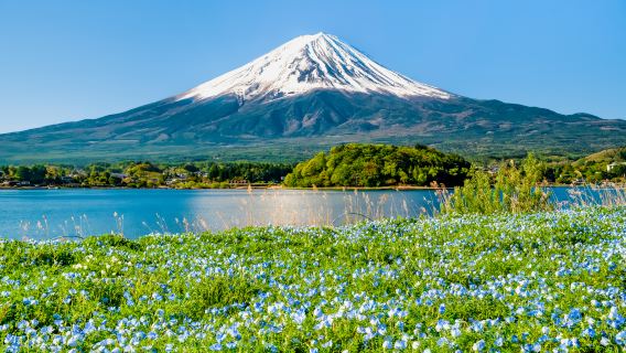 Tokio Abfahrt | Klassischer Tagesausflug zum Fuji mit Kawaguchiko und Oshino Hakkai | Mehrsprachige Führung