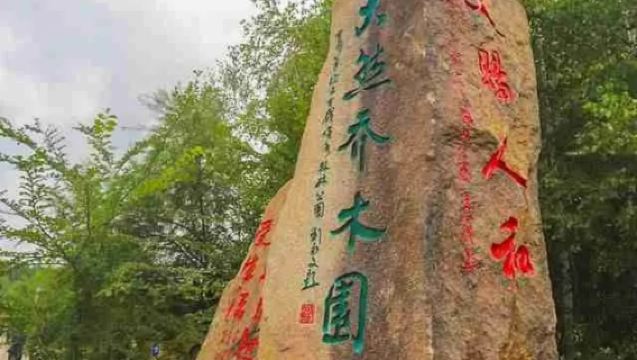 【2-8人小團】伊春五營國家森林公園+上甘嶺溪水公園一日遊