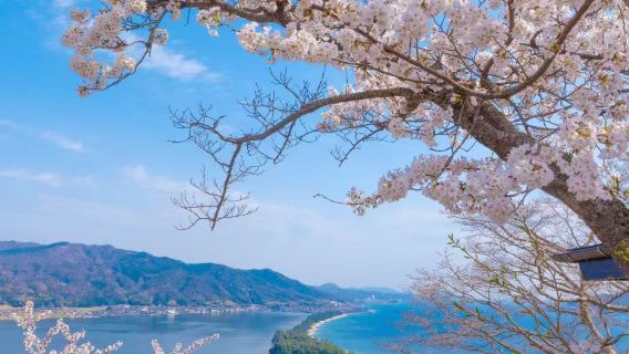 京都一日遊｜天橋立觀景+伊根舟屋遊船 海景漁村深度體驗