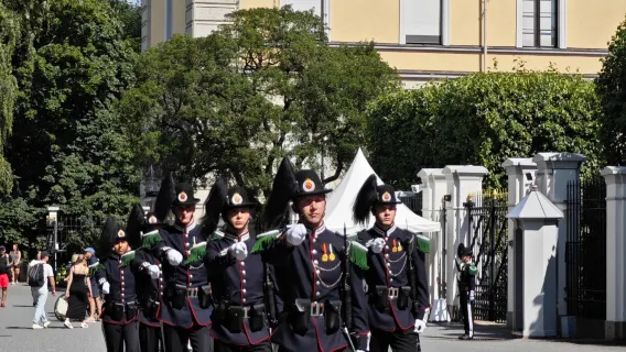 Noruega, Oslo: Excursión de un día por la ciudad con servicio de coche privado con conductor (El monolito del Parque Vigeland + Cambio de guardia en el Castillo y Parque del Castillo)