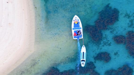Lingshui Bandar Li'an - Papan dayung, snorkeling dan memungut hasil laut (tiket semua-inklusi, termasuk rakaman foto profesional)