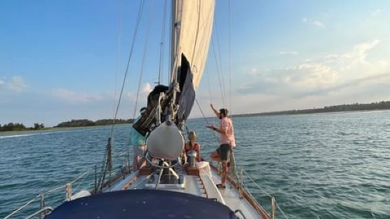 Intracoastal Waterway: Eco Tour