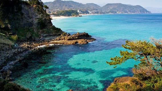東京來回｜伊豆溫泉+河津古街+修善寺溫泉街一日遊（不含票）