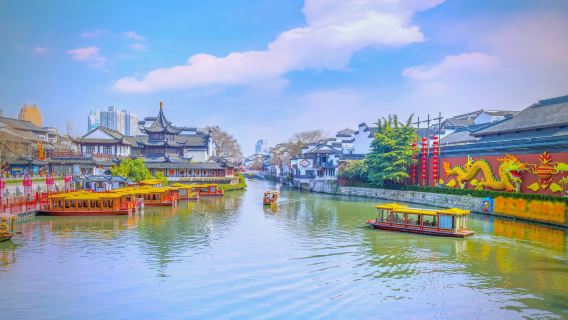 Nanjing gecharterde autovervoer aanpasbare route | Hoogtepunten van Zhongshan + Qinhuai nachtelijke sfeer, must-see voor eerste bezoek 