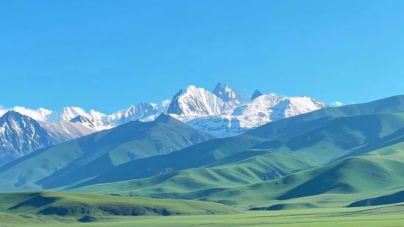 Xining + Padang Rumput Pergunungan Qilian + Ami Dongsuo (Hiburan tulen sebenar | Tiada helah | Perkhidmatan baik)
