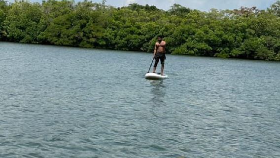 Koggala lake Stand-Up Paddleboard Rental