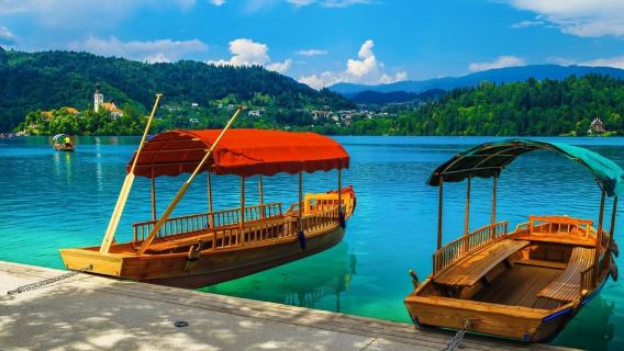 From Ljubljana: Lake Bled Day Tour