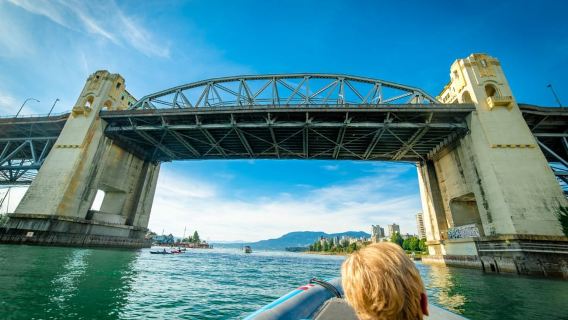Vancouver: City and Seals Boat Tour