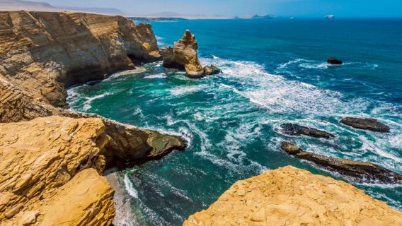 Paracas: Ballestas Islands & Reserve in One Day Experience