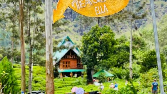 ELLA : Tea-Making Experience Tour with Tasting and Snacks