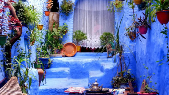1-day tour to the blue city of Chefchaouen from Tangier, Morocco: Local guide + hotel pickup