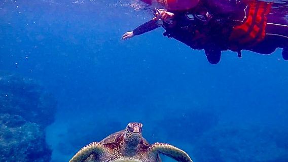 Xiao Liuqiu | Blue and White Water Club | SUP/canoe + snorkeling experience