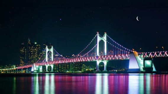 Busan: Passeio Noturno pelo Mercado Jagalchi e Skywalk