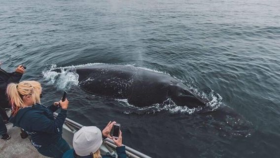 Monterey CountyTours