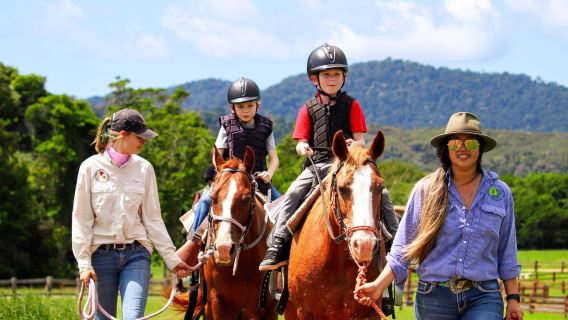ケアンズ キュランダ クール牛ファーム半日帰りツアー【乗馬+ATV四輪駆動車 送迎可能】