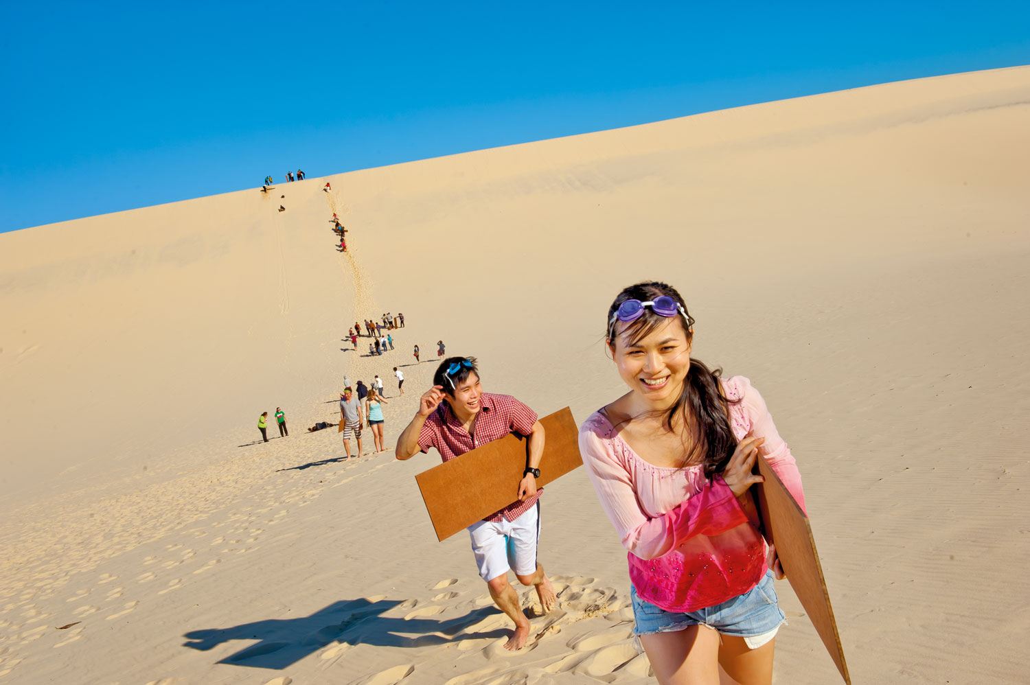 Tangalooma Dolphin Feeding Day Cruise with Desert Safari Tour