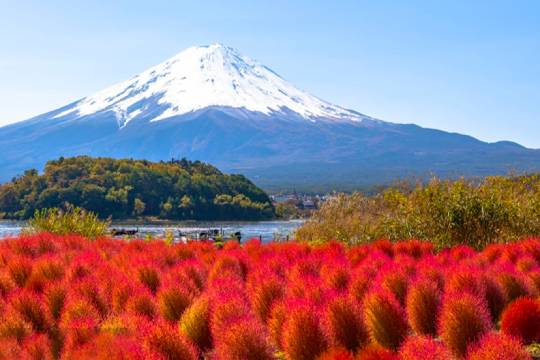 日本東京富士山一日遊