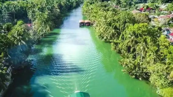 Bohol Island Chocolate Hills & Tarsier & Loboc River Cruise + Bohol Bee Farm Dinner + Firefly Watching at Night