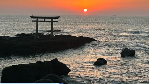 [ทะเลดอกไม้บริสุทธิ์ อาหารและเครื่องดื่ม] อิบารากิ + ฮิตาชิซีไซด์พาร์ค โตเกียว ประเทศญี่ปุ่น ทัวร์วันเดียว/ทัวร์หลายวัน