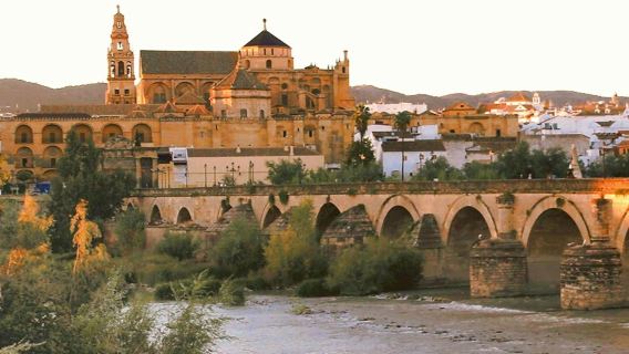 Córdoba and its Mosque: Full Day Tour from Granada