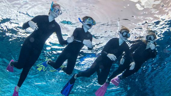 Schnorcheln bei Deep Dive Dubai