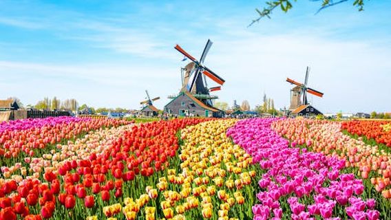 Zaandam