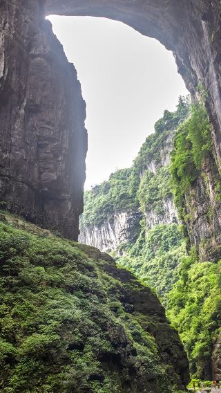 1-Day Tour to Mount Qingcheng and Dujiangyan