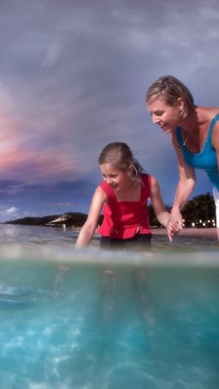 Brisbane Moreton Island Day Tour [Choose 1 of 6 Activities]|Optional Dolphin Feeding