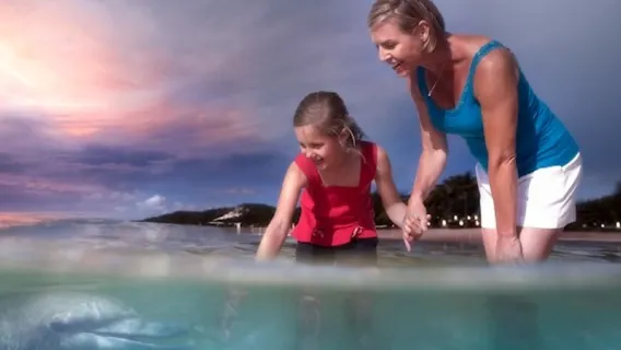 Escursione di un giorno a Brisbane Moreton Island [Isola dei Delfini|Scegli 1 tra 6 progetti|È possibile dare da mangiare ai delfini e osservare le balene.