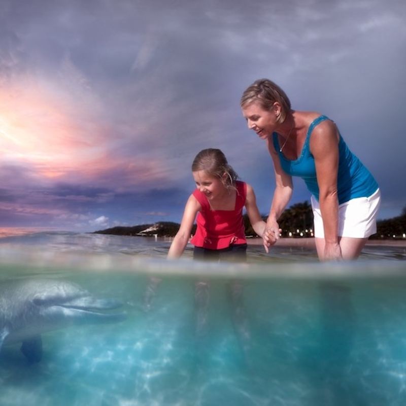 Brisbane Moreton Island Day Tour [Choose 1 of 6 Activities|Optional Dolphin Feeding