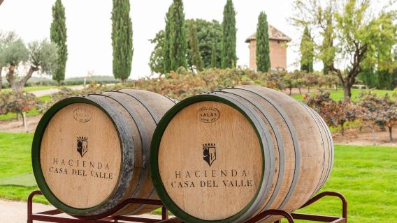 Private Full Day tour to Toledo with wine tasting