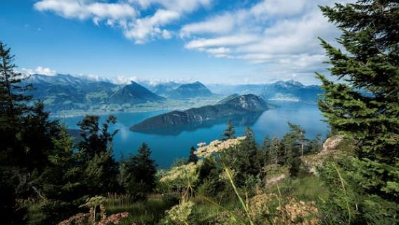 Lucerne
