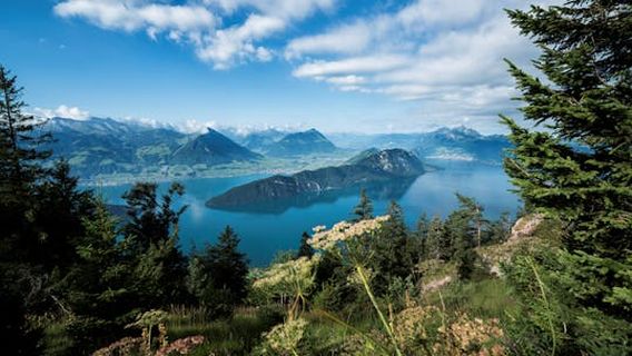 Lucerne