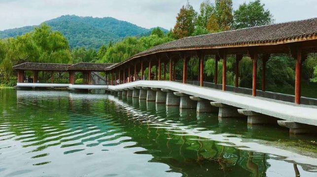 杭州西湖遊船搖櫓船私人尊享包船+私人尊享人工講解+品茶體驗