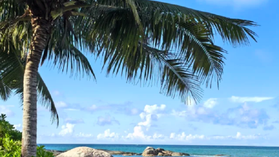 Hainan Wenchang one-day tour nanny-level route private customized itinerary hotel pick-up xx